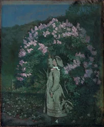 Le buisson de lilas