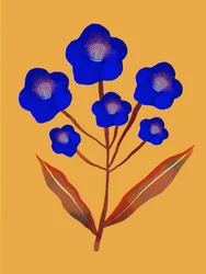 Fleurs d