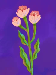 Trio floral éclatant