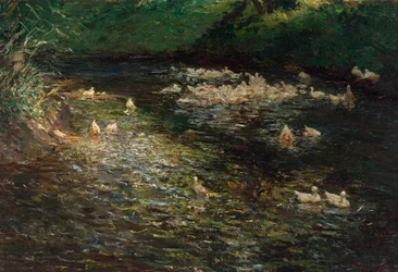 Étang aux canards