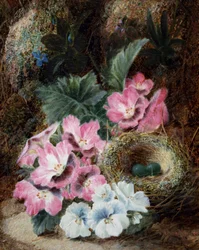 Nature morte aux nid d