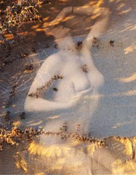 Nudo su sabbia, 2019 (technique mixte numérique)
