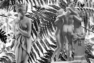 Statue con 2019 (technique mixte numérique)