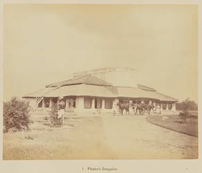 Bungalow du planteur