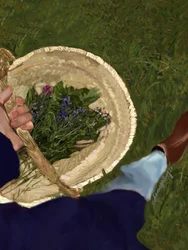 Panier de fleurs sauvages
