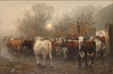 Conduire les vaches hors de l