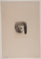 Une tête de chien