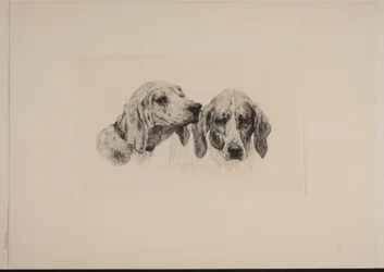 Deux têtes de chien