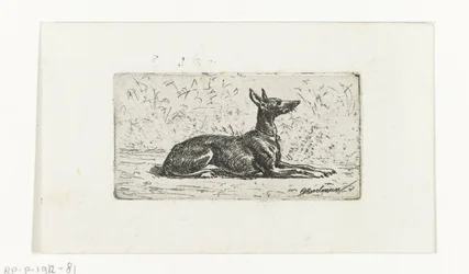 Lévrier couché