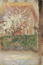 Arbre à fleurs blanches dans le jardin de devant