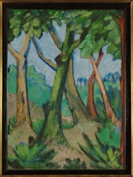Forêt ...