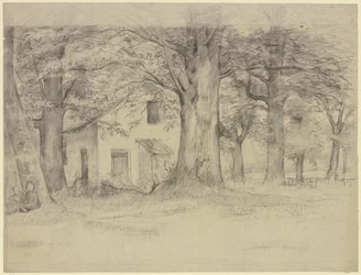 Maison derrière les arbres