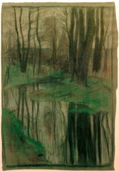 Auwald (Sarnau)
