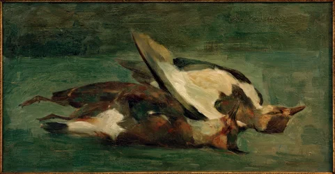 Vanneaux