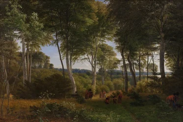 Bois de Delhoved près du lac Skarre, Zélande. Lumière de l