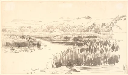 Paysage avec une rivière bordée de grands roseaux. Collines en arrière-plan. Probablement Vejle