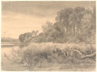 Paysage avec un lac forestier. Lac Gurre.