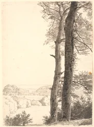Paysage près de Skarritsø avec deux grands arbres, des hêtres, au premier plan