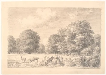 Vue de Dyrehaven avec des cerfs dans une clairière