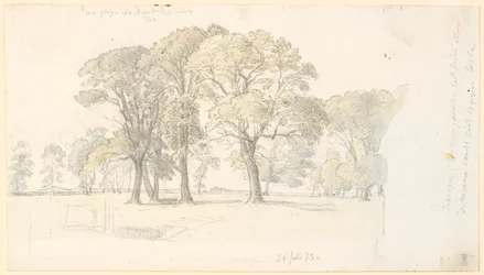 Paysage de Jægersborg Dyrehave avec des arbres isolés