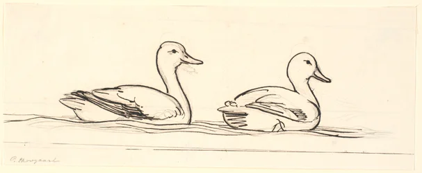Deux canards. Esquisse décorative.