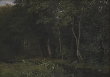Crépuscule dans un bois près du manoir d