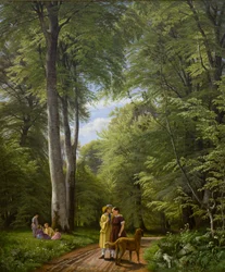 Forêt de hêtres en mai. Motif d