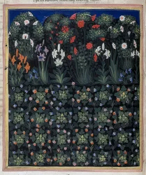 Jardin (Extrait de Regia Carmina de Convenevole da Prato)