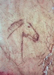 Tête de cheval, de la Cueva de la Peña de Candamo San Roman (peinture rupestre)