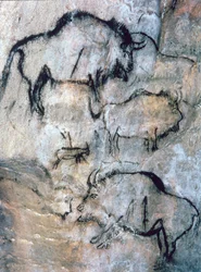 Bison blessé, Magdalénien