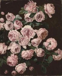 Un rosier (huile sur toile)
