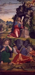 Jésus dans le jardin, par Paolo Cavazzola