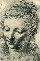 Tête d
