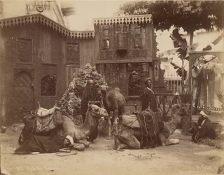 Salle des chameaux