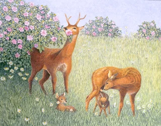 Famille de cerfs (huile sur toile)