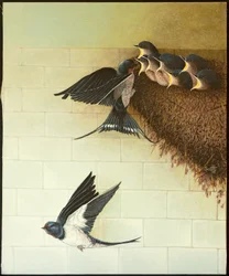 Bouches affamées, 2011 (acrylique sur calicot)