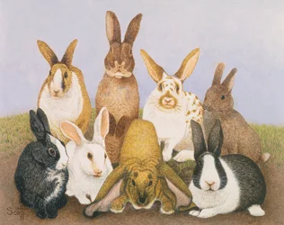 Lapins chanceux