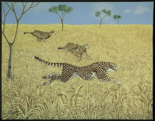 La vitesse pure