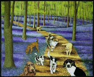 La promenade du matin