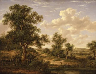 Lande près de Godstone