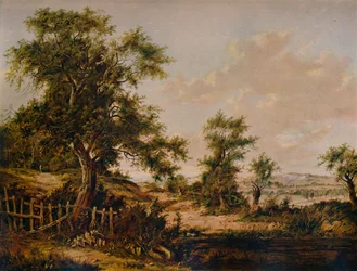 Paysage, avec piscine et arbre au premier plan