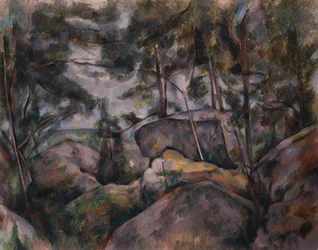 Rochers dans la forêt