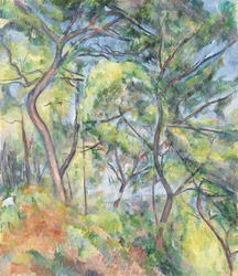 Sous-bois
