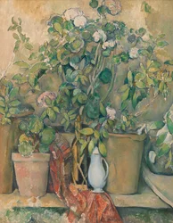 Pots en terre cuite et fleurs