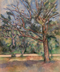 Arbres et route