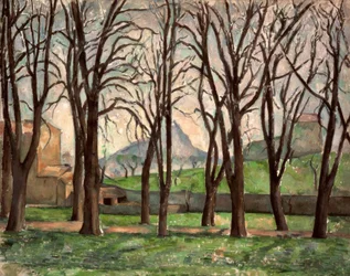 Marronniers du Jas de Bouffan en hiver