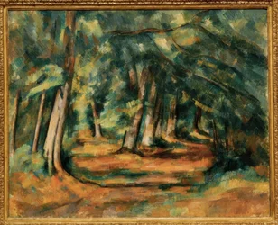 Sous-bois – Fontainebleau (?)