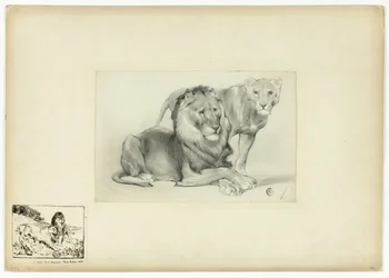 Lion et Lionne