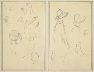Oies; Filles en bonnets, oies [recto]