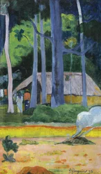 Cabane sous les arbres